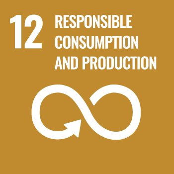 12 Responsible consumption